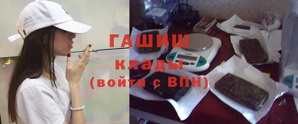 прущие грибы Лабытнанги