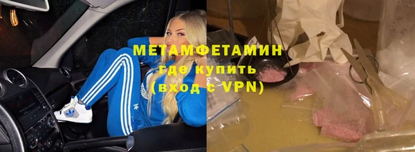 прущие грибы Лабытнанги
