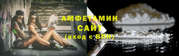 прущие грибы Лабытнанги