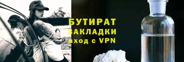 прущие грибы Лабытнанги