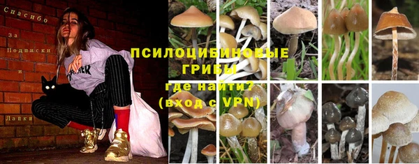 spice Ладушкин