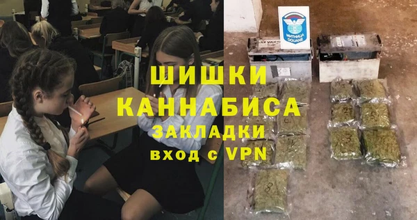 ПСИЛОЦИБИНОВЫЕ ГРИБЫ Лиски