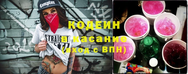 прущие грибы Лабытнанги