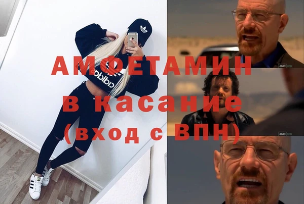 прущие грибы Лабытнанги