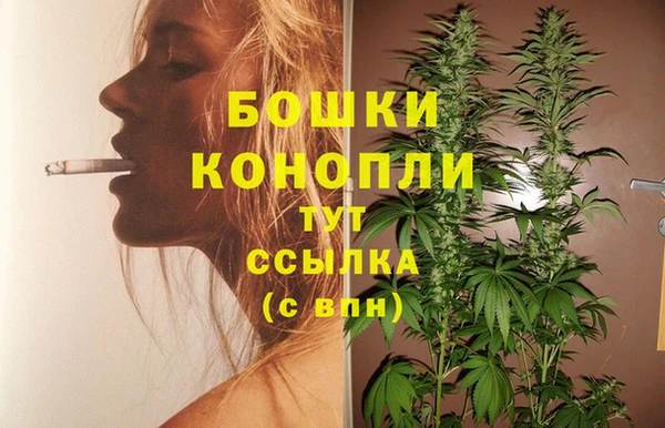 прущие грибы Лабытнанги